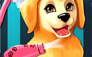 Become A Puppy Groomer